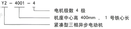 YR系列(H355-1000)高压Y3553-2/280KW三相异步电机西安西玛电机型号说明